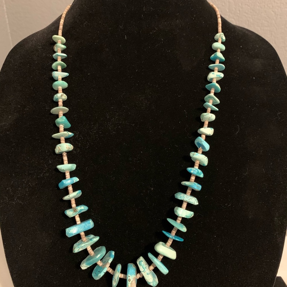Vtg. Native American Navajo Gallup, NM Turquoise Nugget Shell, Hesihi Necklace